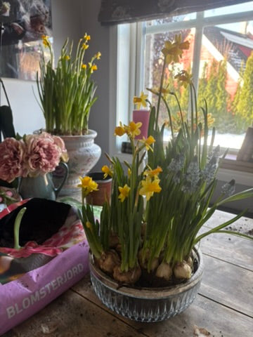 Glassbolle med sølvkant