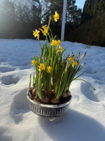 Glassbolle med sølvkant